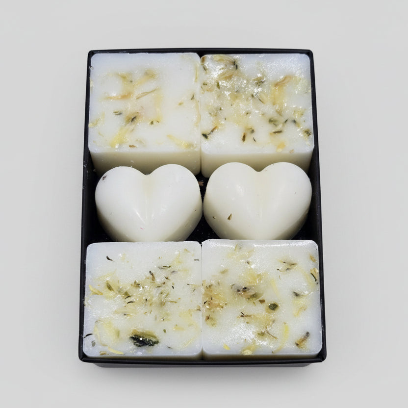 Rosemary & Amber Botanical Wax Melts - Boxed Set of 6 Soy Wax Melts