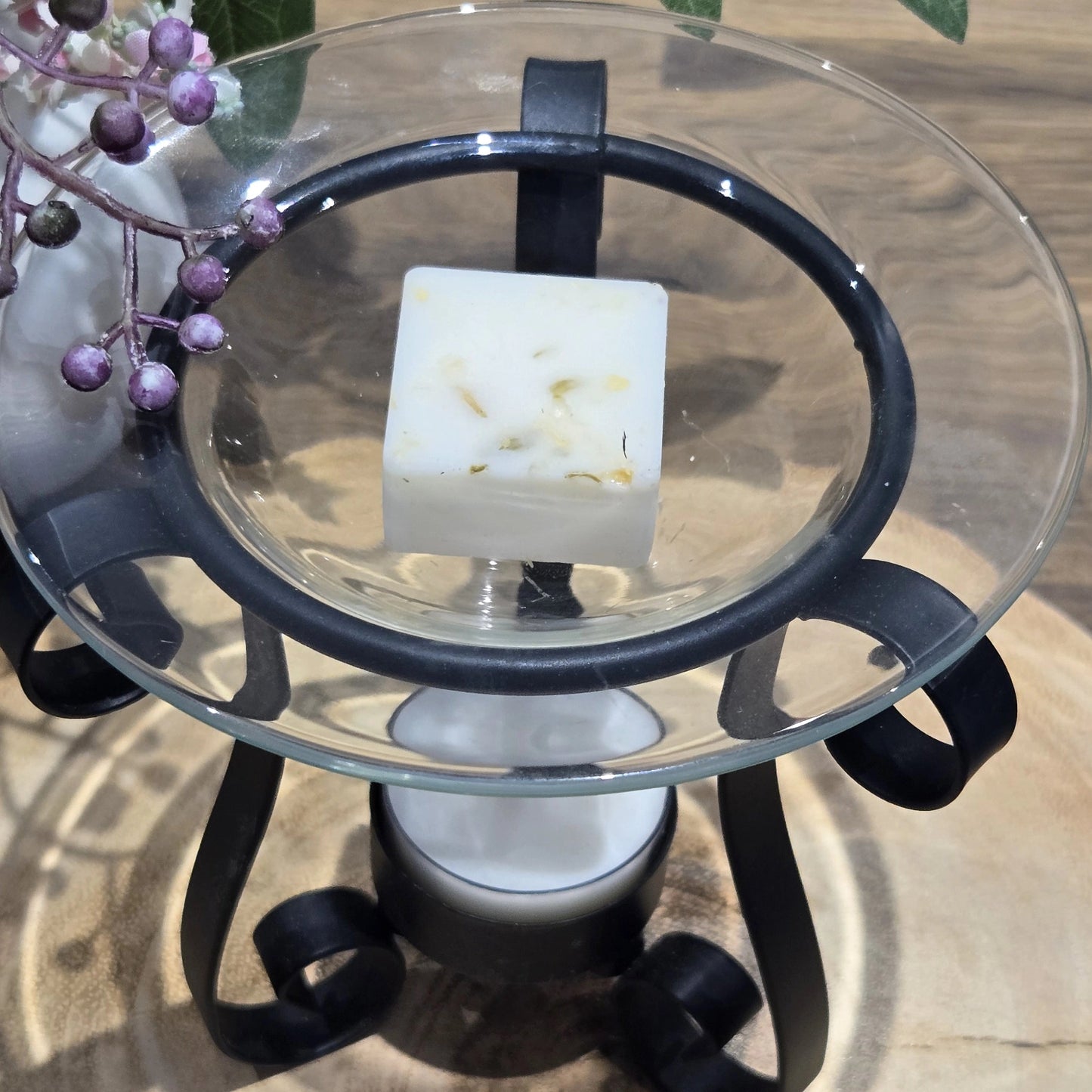 Sparkling Citrus Botanical Wax Melts - Boxed Set of 6 Soy Wax Melts