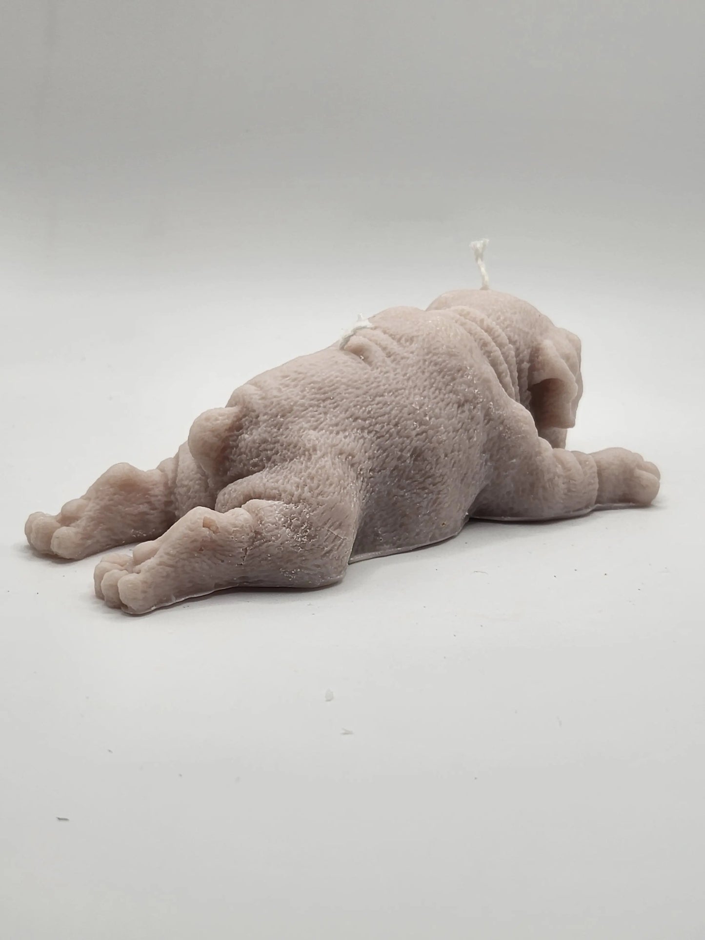 Boxer Dog Lying Candle
