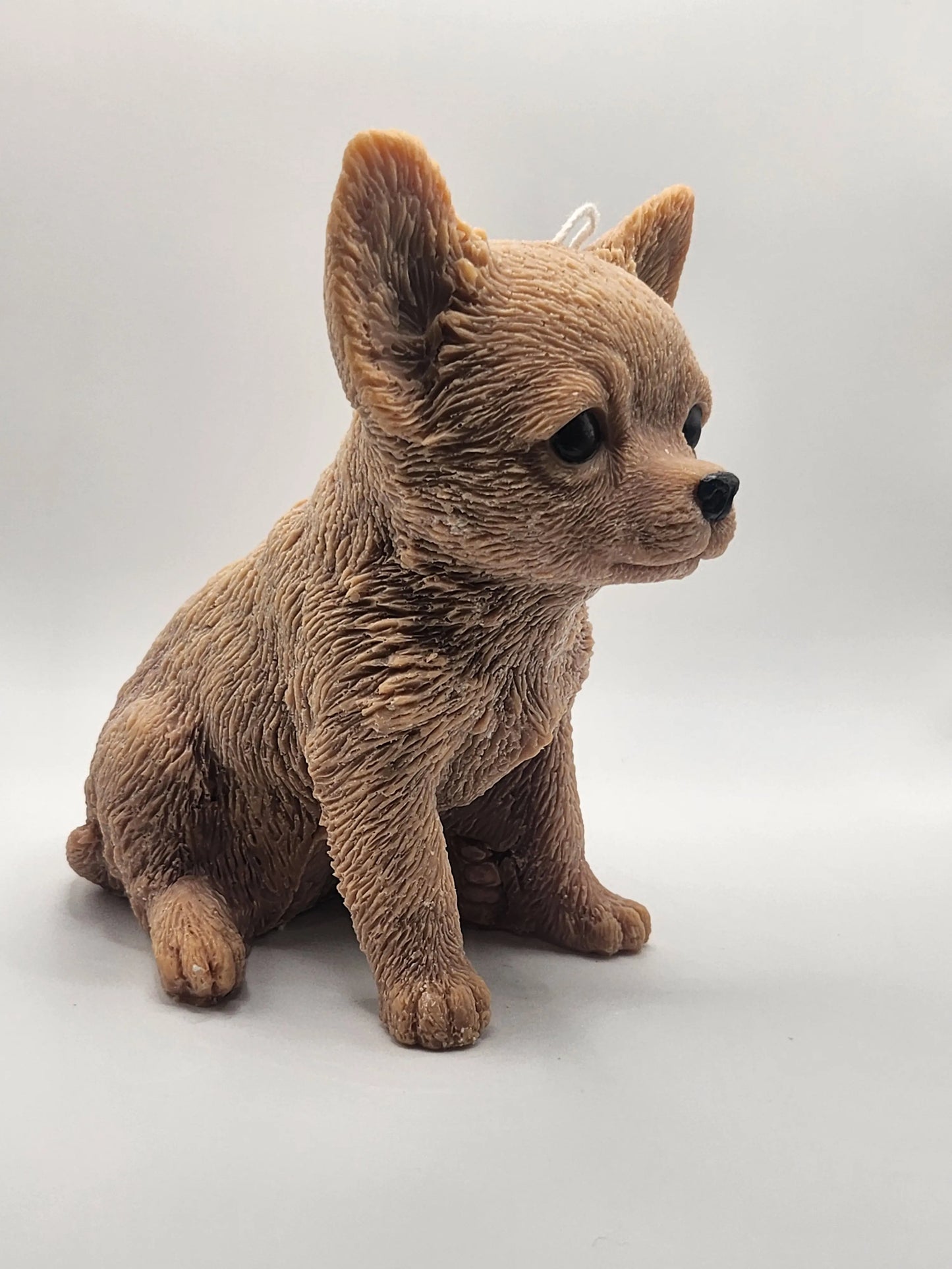 Chihuahua Dog Candle