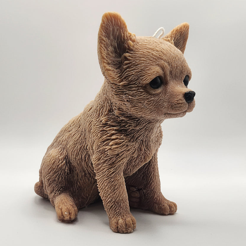 Chihuahua Dog Candle