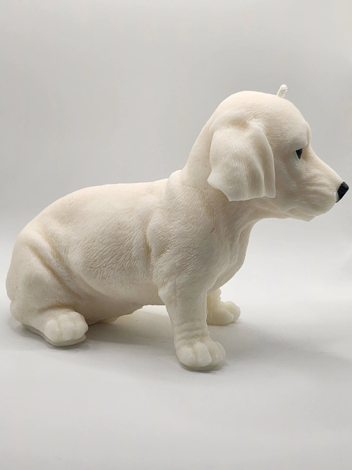 Dachshund Dog Candle