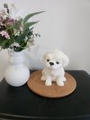 Shih Tzu Dog Candle