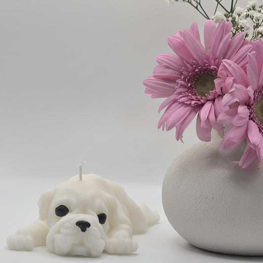 Boxer Dog Lying Candle