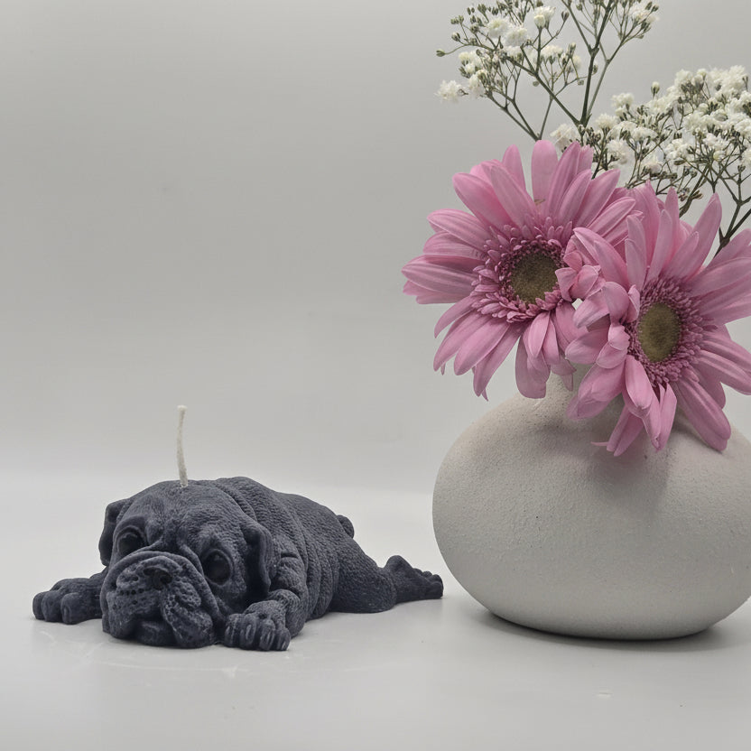 Boxer Dog Lying Candle