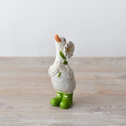 Duck In Green Boots & Daisy Flower