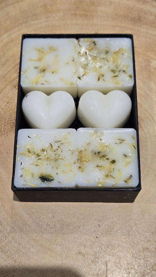 Musk Botanical Wax Melts - Boxed Set of 6 Soy Wax Melts