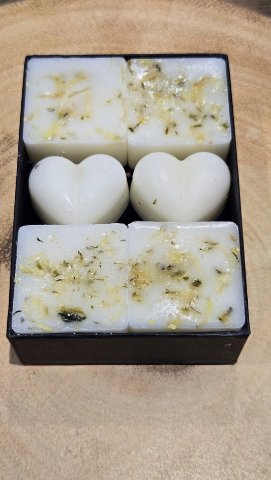 Rosemary & Amber Botanical Wax Melts - Boxed Set of 6 Soy Wax Melts