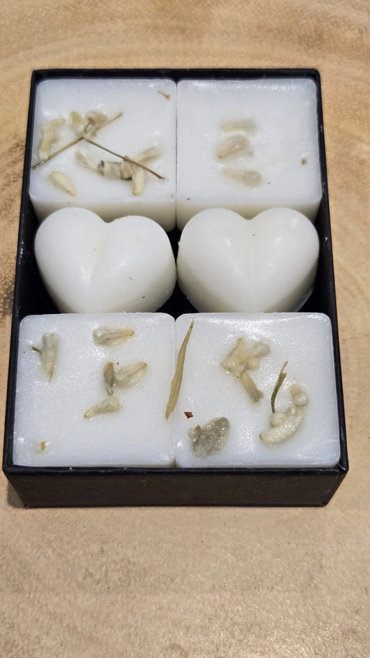 Snowdrops Botanical Wax Melts - Boxed Set of 6 Soy Wax Melts