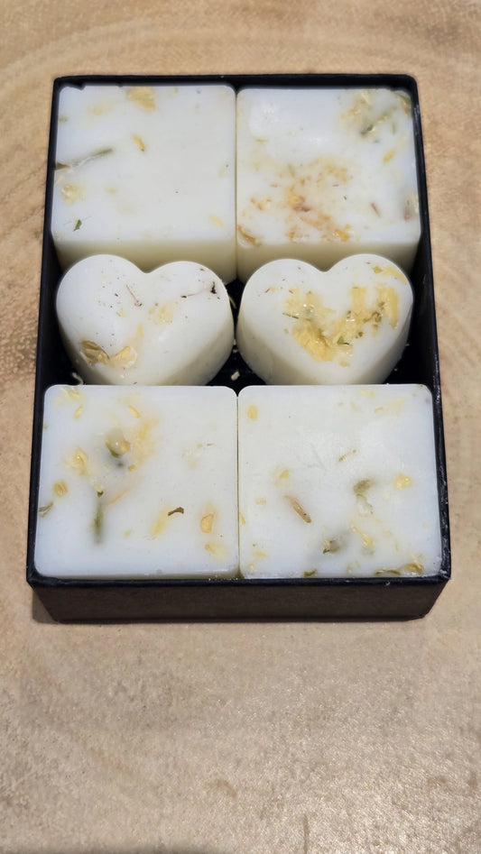Sparkling Citrus Botanical Wax Melts - Boxed Set of 6 Soy Wax Melts