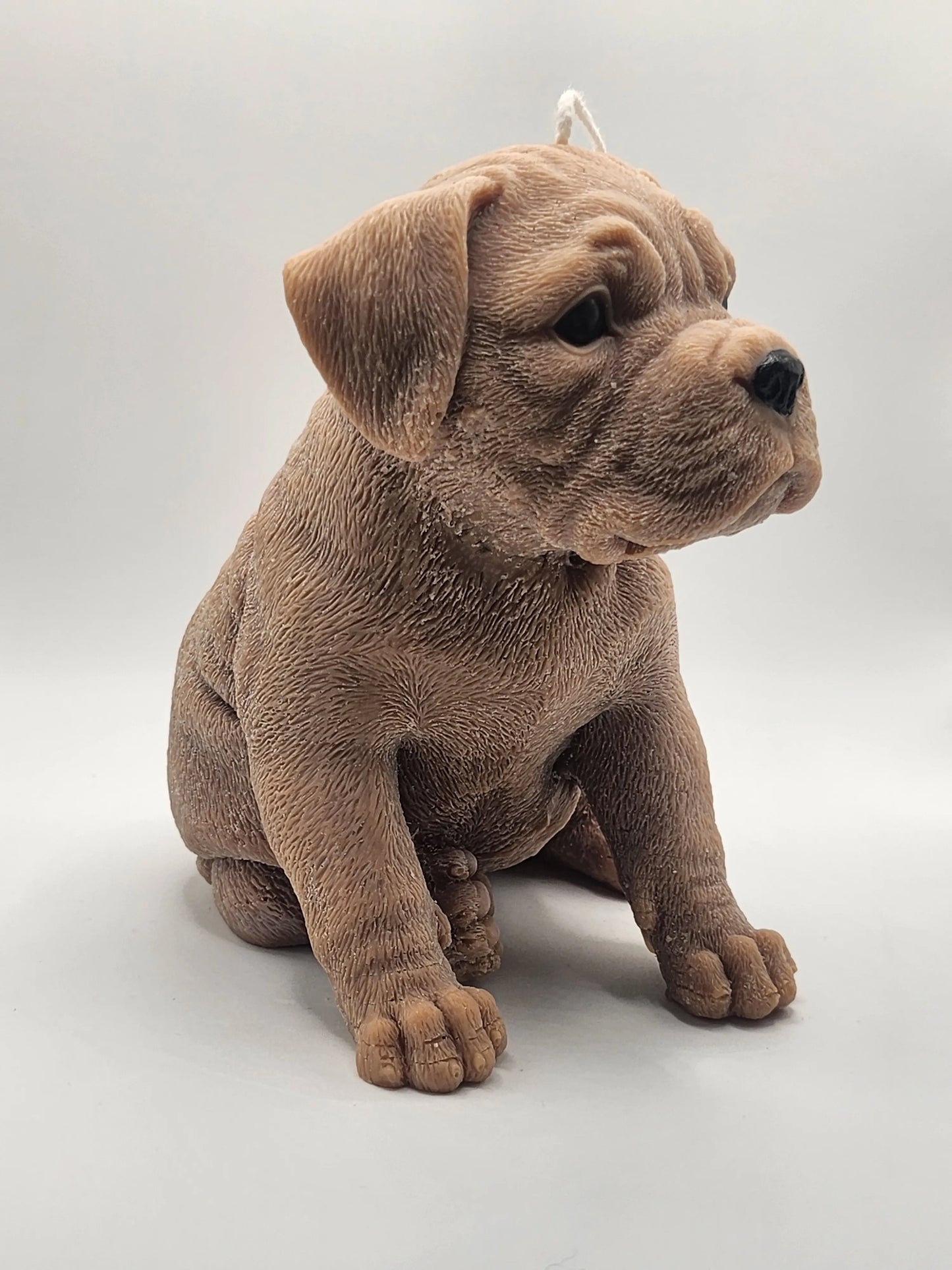 Boxer Dog Candle