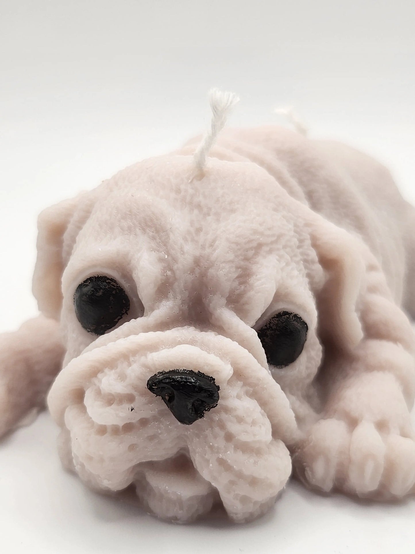 Boxer Dog Lying Candle