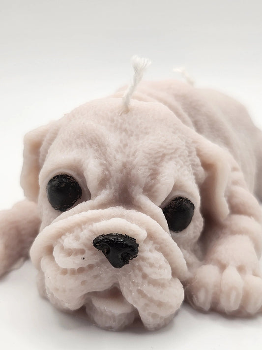 Boxer Dog Lying Candle