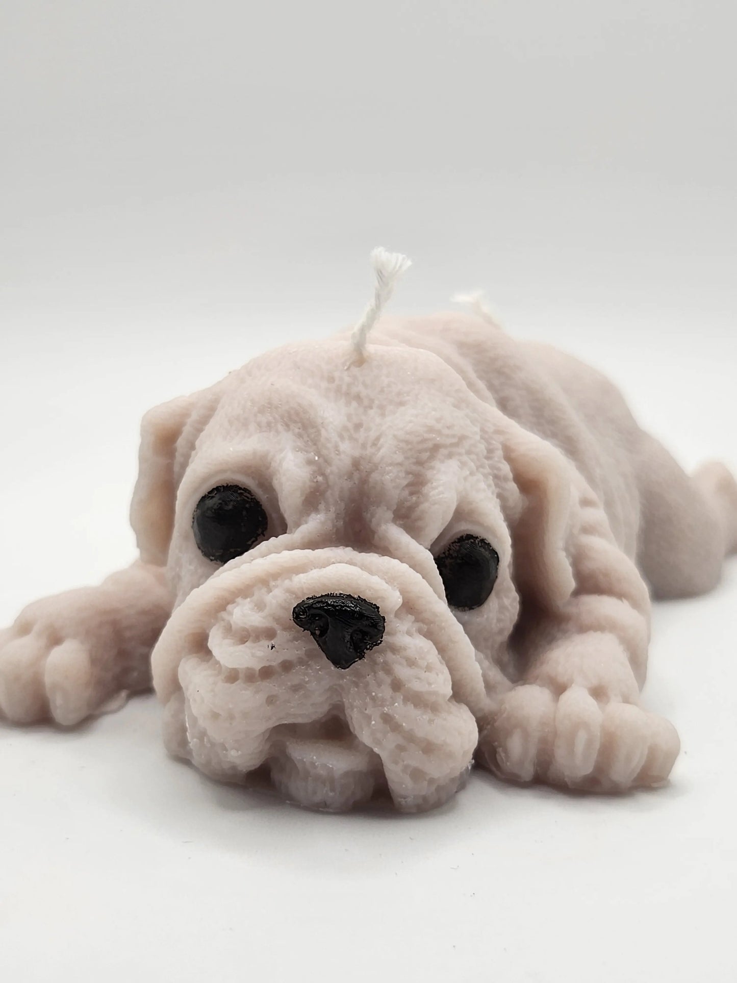 Boxer Dog Lying Candle