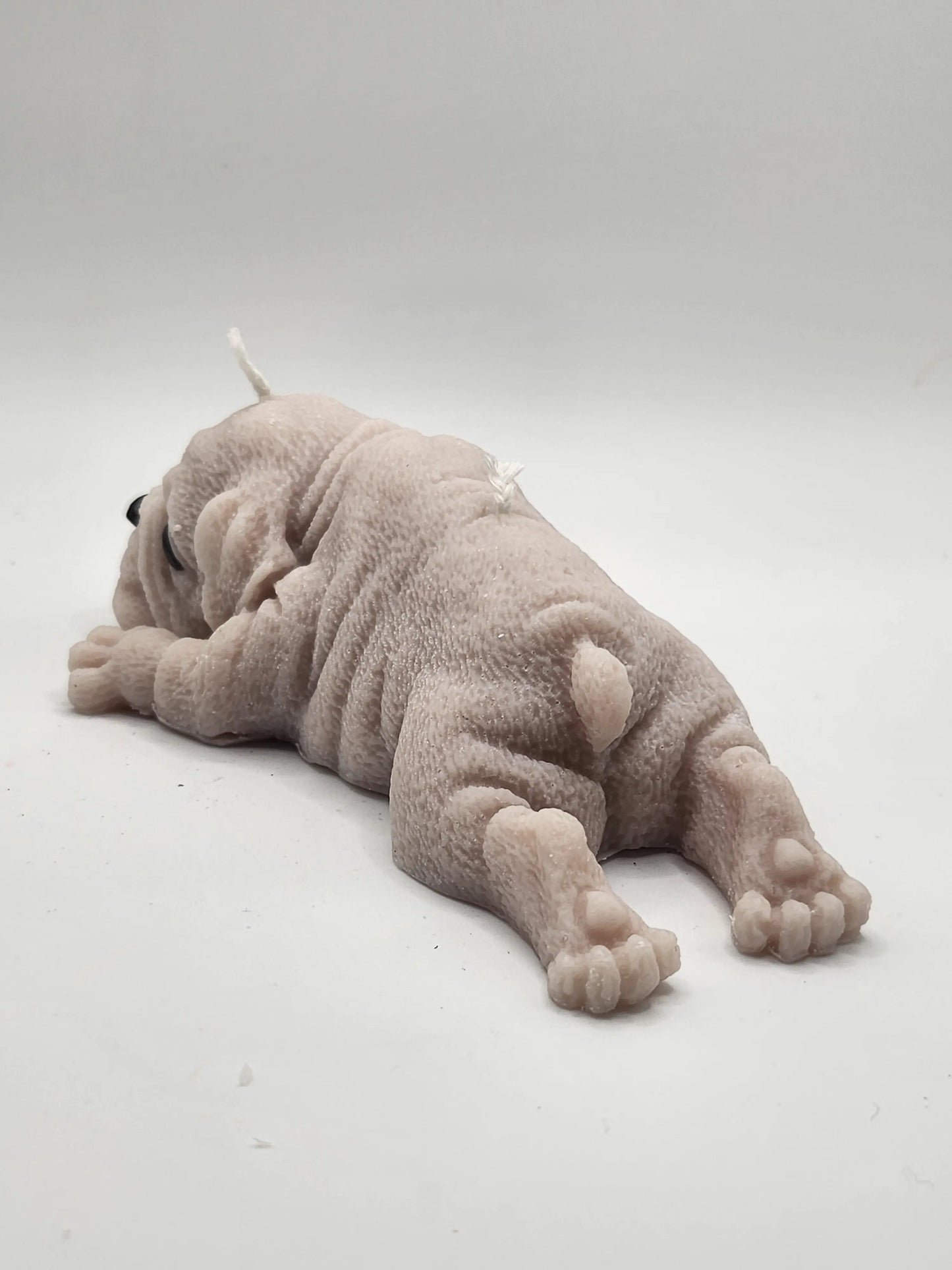 Boxer Dog Lying Candle