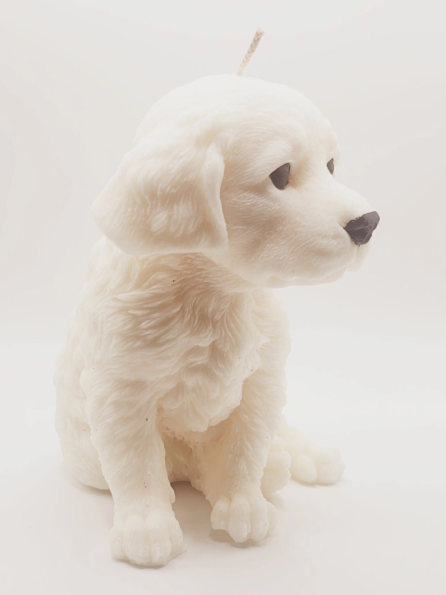 Springer Spaniel Dog Candle