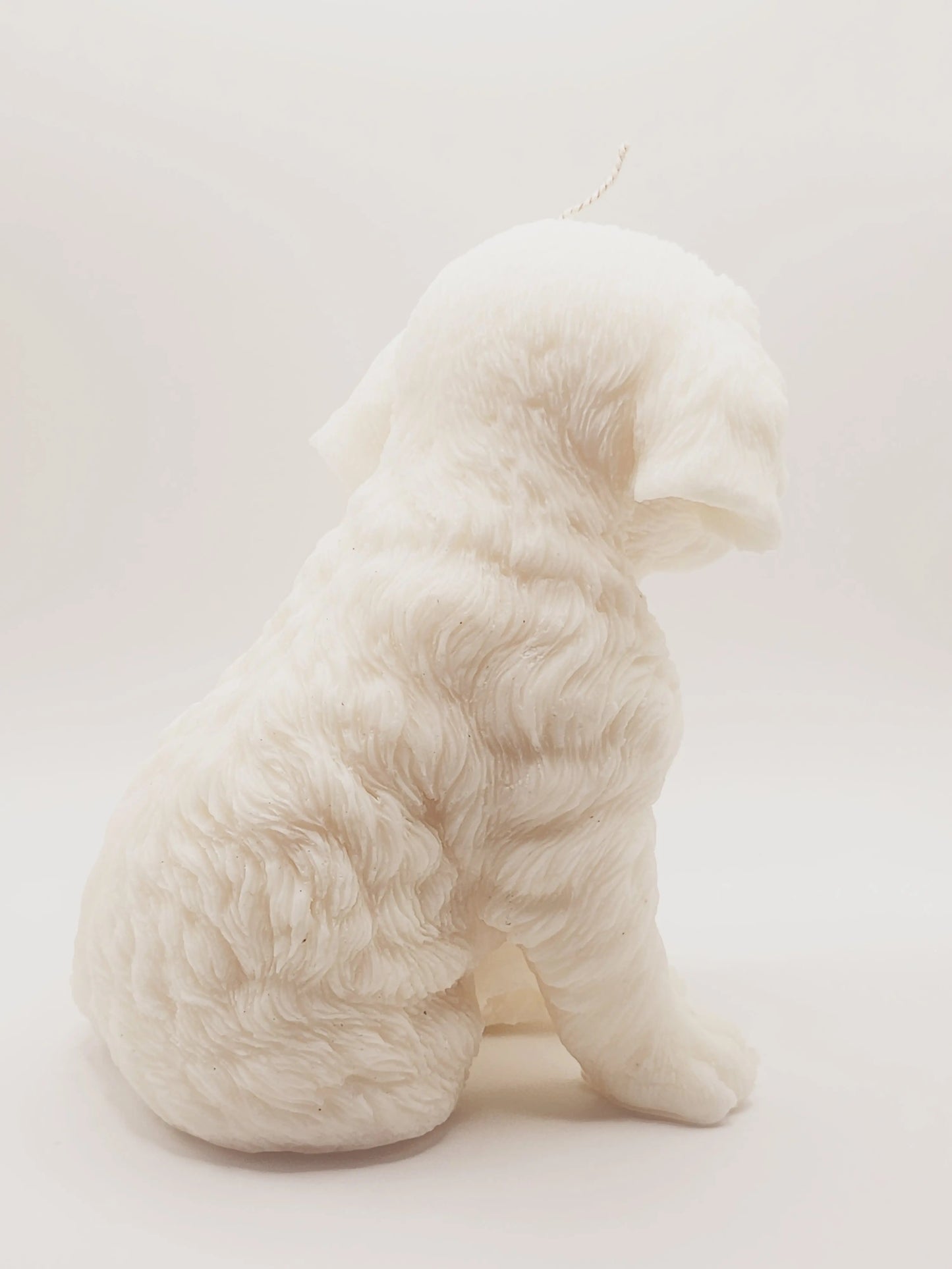 Springer Spaniel Dog Candle