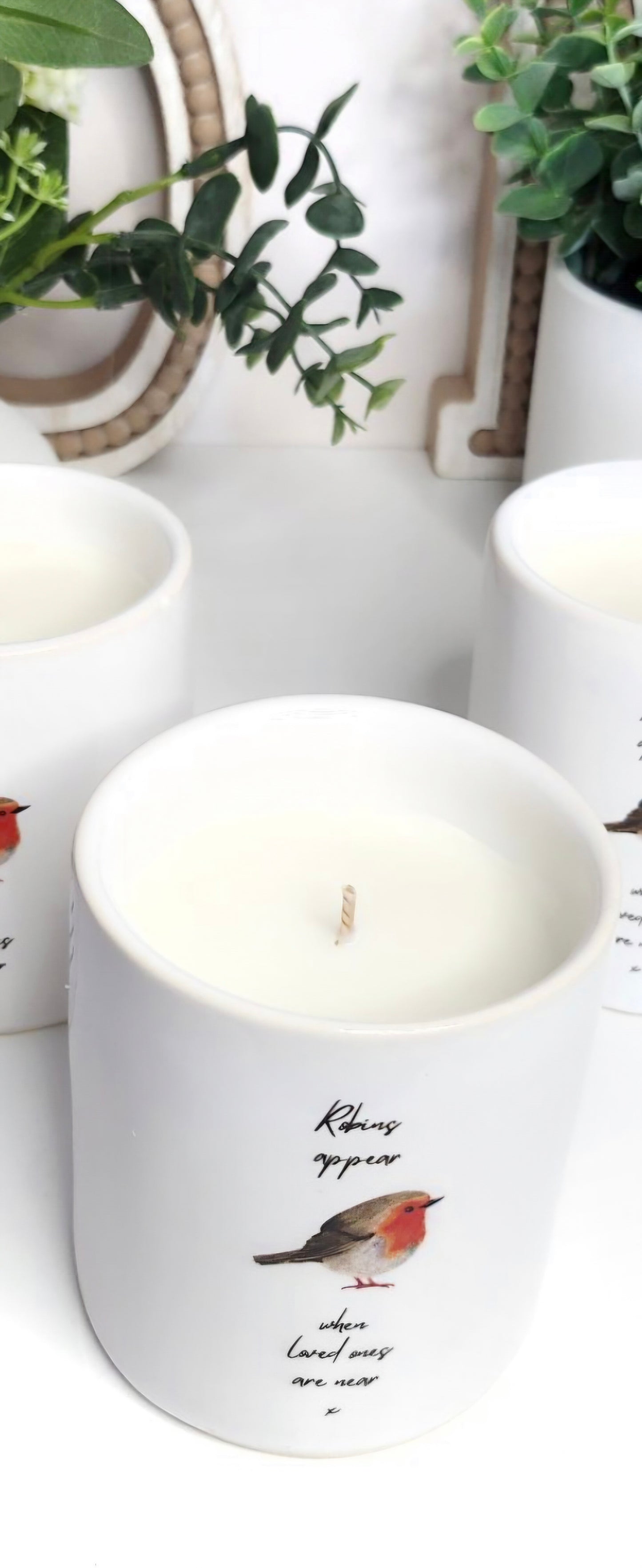 Robins appear when loved ones are near candle